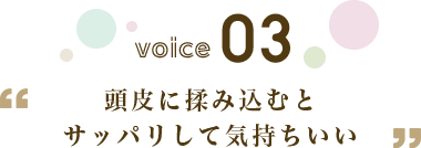 VOICE 03